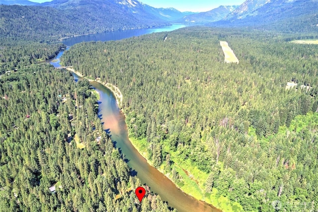 13990 Brae Burn Rd, Leavenworth, WA 98826 - view of property location featuring a heavily wooded area and a water and mountain view