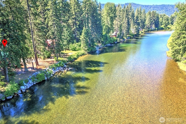 13990 Brae Burn Rd, Leavenworth, WA 98826 - water view with a forest