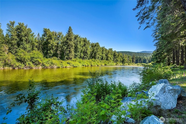 13990 Brae Burn Rd, Leavenworth, WA 98826 - water view with a heavily wooded area