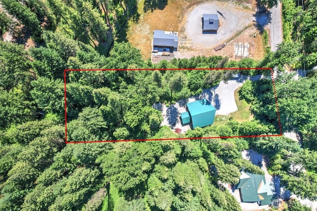 2115 Chiwawa Ct, Leavenworth, WA 98826 - aerial overview of property's location featuring property boundaries highlighted