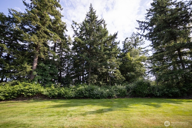 4228 Wintergreen Ln Unit 124, Bellingham, WA 98226 - photo 6