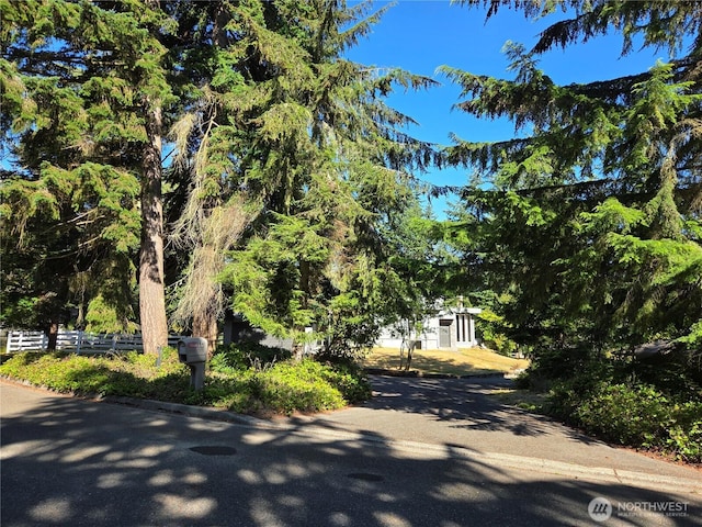 904 Seamount Dr, Port Angeles, WA 98363 - photo 40