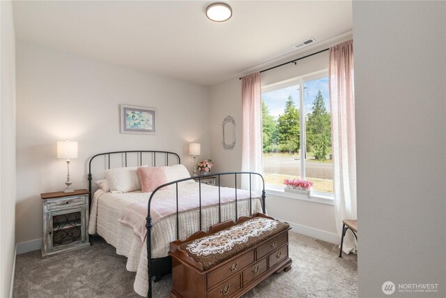 10 Coyote Rd, Montesano, WA 98563 - carpeted bedroom with baseboards