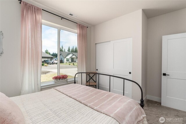 10 Coyote Rd, Montesano, WA 98563 - bedroom featuring carpet flooring and a closet