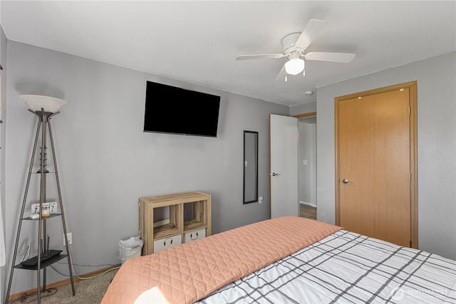 11389 Thompson Rd NE, Moses Lake, WA 98837 - bedroom featuring a closet, ceiling fan, and carpet flooring