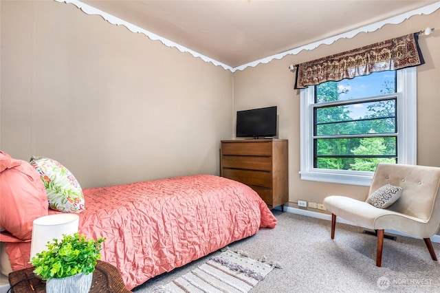 23606 SE Tiger Mountain Rd, Issaquah, WA 98027 - photo 26