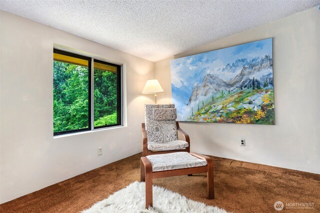 23606 SE Tiger Mountain Rd, Issaquah, WA 98027 - photo 28