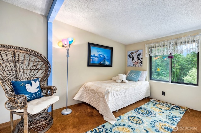 23606 SE Tiger Mountain Rd, Issaquah, WA 98027 - photo 29