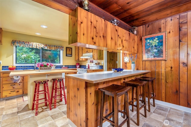 23606 SE Tiger Mountain Rd, Issaquah, WA 98027 - photo 16