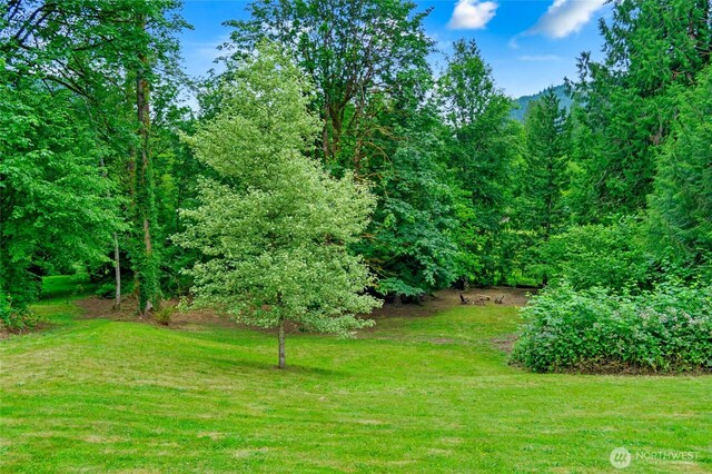 23606 SE Tiger Mountain Rd, Issaquah, WA 98027 - photo 33