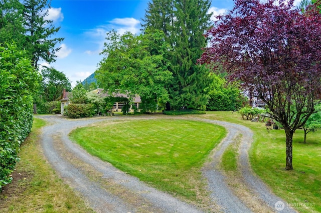 23606 SE Tiger Mountain Rd, Issaquah, WA 98027 - photo 35