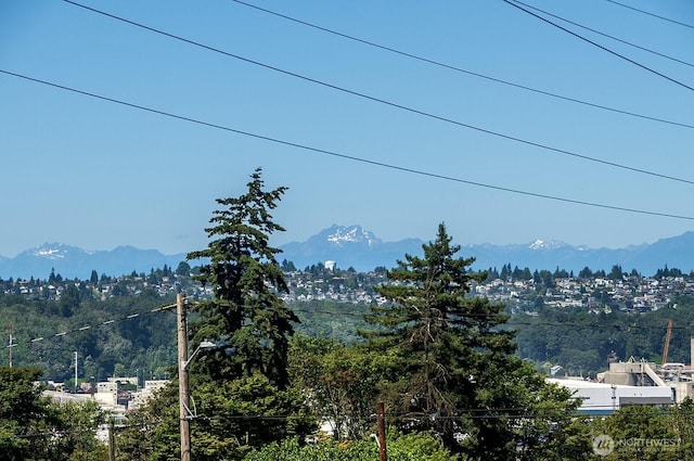 4524 12th Ave S, Seattle, WA 98108 - photo 22