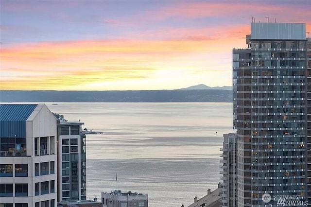 737 Olive Way Unit 3110, Seattle, WA 98101 - water view