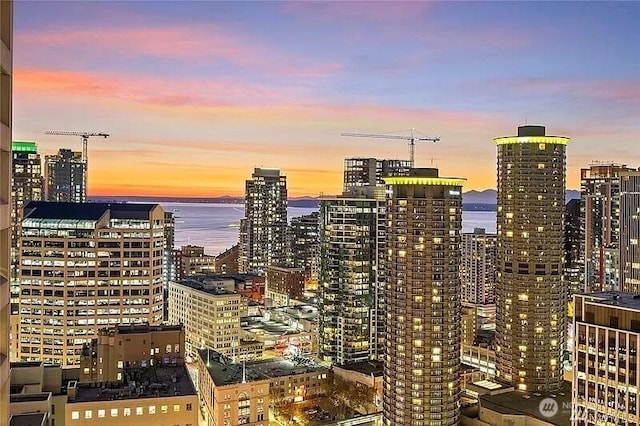 737 Olive Way Unit 3110, Seattle, WA 98101 - skyline view featuring a nearby body of water
