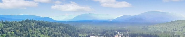 27100 262nd Ave SE, Ravensdale, WA 98051