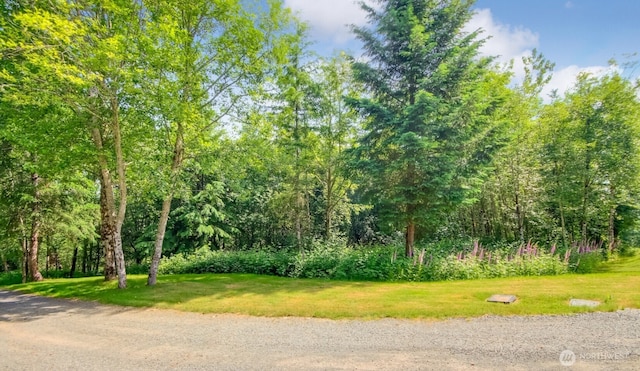 27100 262nd Ave SE, Ravensdale, WA 98051