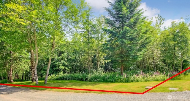 27100 262nd Ave SE, Ravensdale, WA 98051