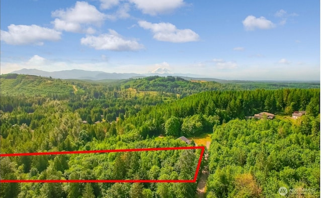 27100 262nd Ave SE, Ravensdale, WA 98051