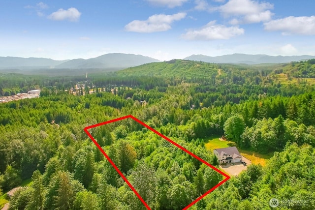 27100 262nd Ave SE, Ravensdale, WA 98051