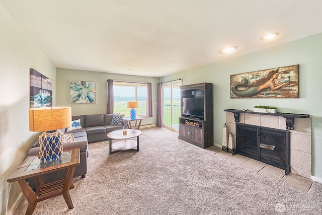 210 26th St NW Unit 428, Long Beach, WA 98631 - carpeted living area featuring baseboards