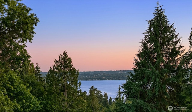4719 86th Ave SE, Mercer Island, WA 98040 - water view