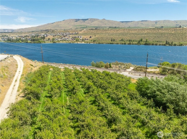 9932 Navarre Coulee Rd, Chelan, WA 98816 - photo 15