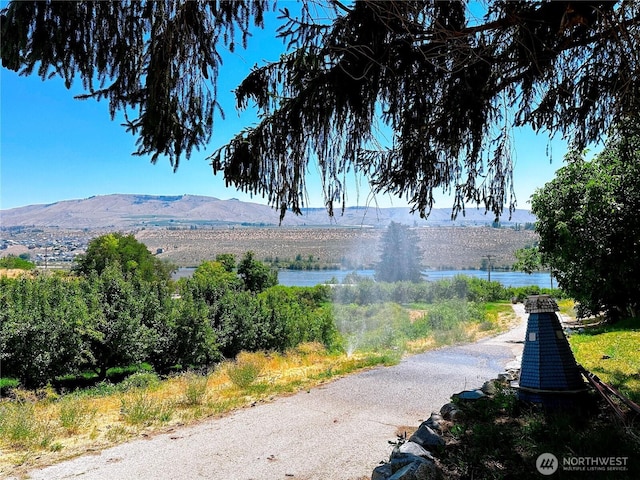 9932 Navarre Coulee Rd, Chelan, WA 98816 - photo 4
