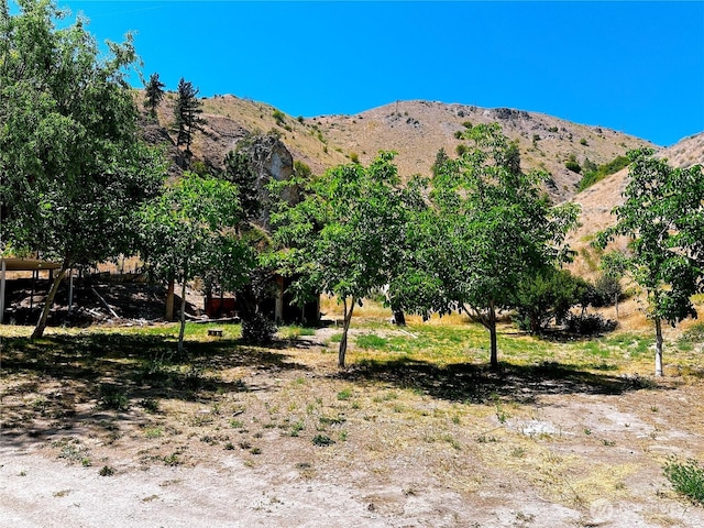 9932 Navarre Coulee Rd, Chelan, WA 98816 - photo 9