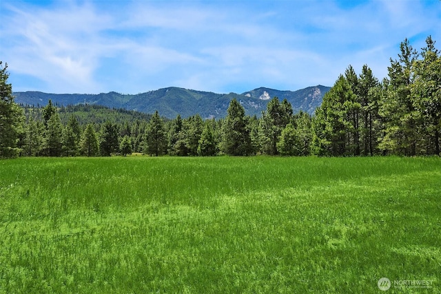 10700 Westside Rd, Cle Elum, WA 98922 - photo 26