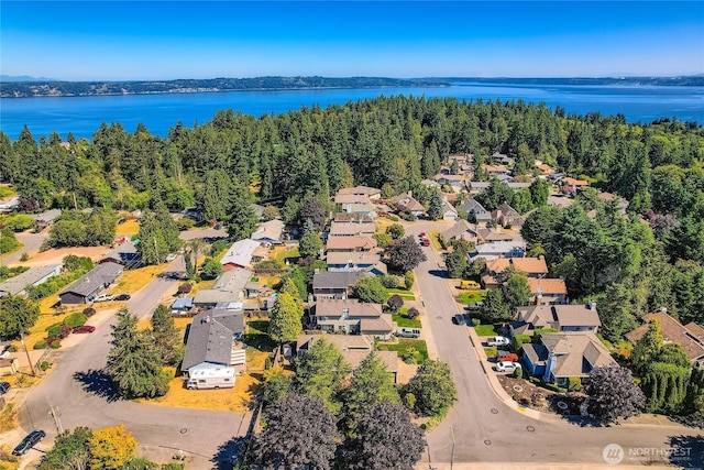 31451 48th Pl SW, Federal Way, WA 98023 - aerial perspective of suburban area with a large body of water