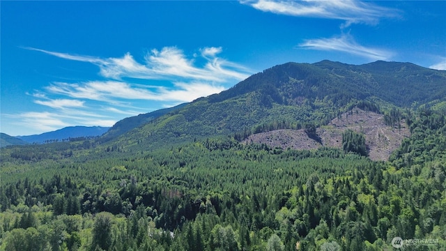 0 N Fork Rd, Glacier, WA 98244 - photo 2