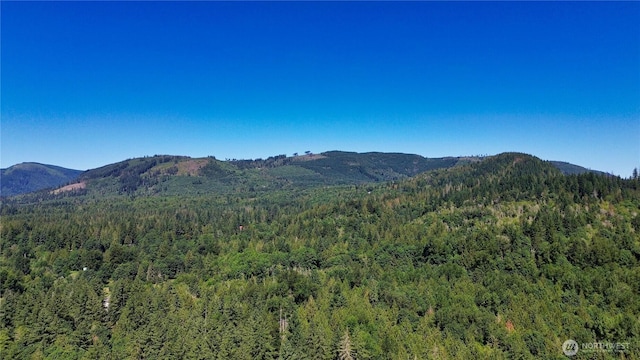 0 N Fork Rd, Glacier, WA 98244 - photo 4