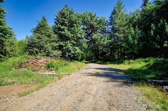 0 N Fork Rd, Glacier, WA 98244 - photo 6