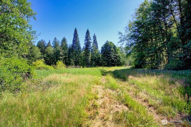 0 N Fork Rd, Glacier, WA 98244 - photo 7