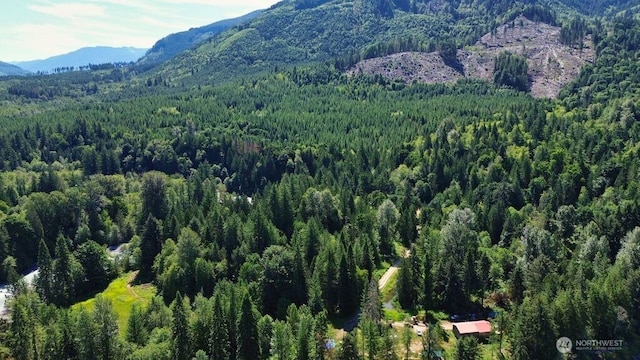 0 N Fork Rd, Glacier, WA 98244 - photo 9
