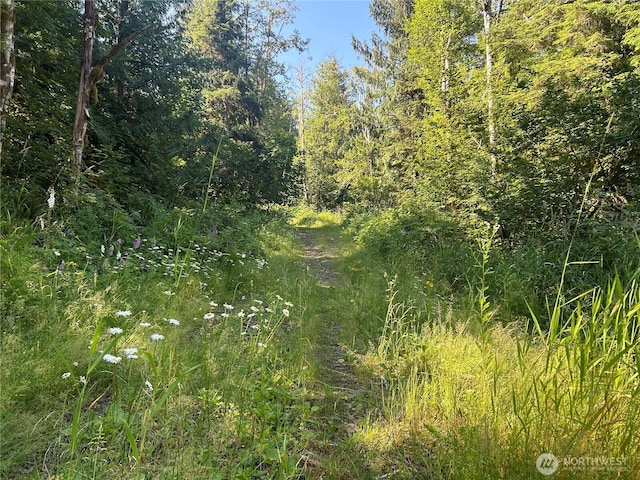 0 N Fork Rd, Glacier, WA 98244 - photo 10