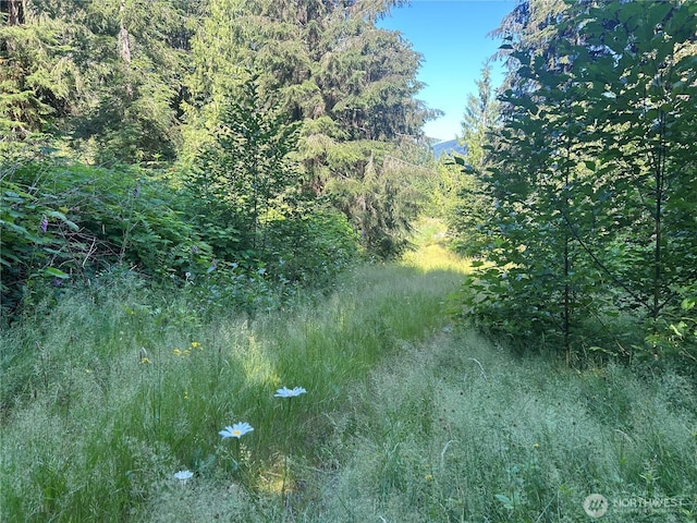 0 N Fork Rd, Glacier, WA 98244 - photo 12