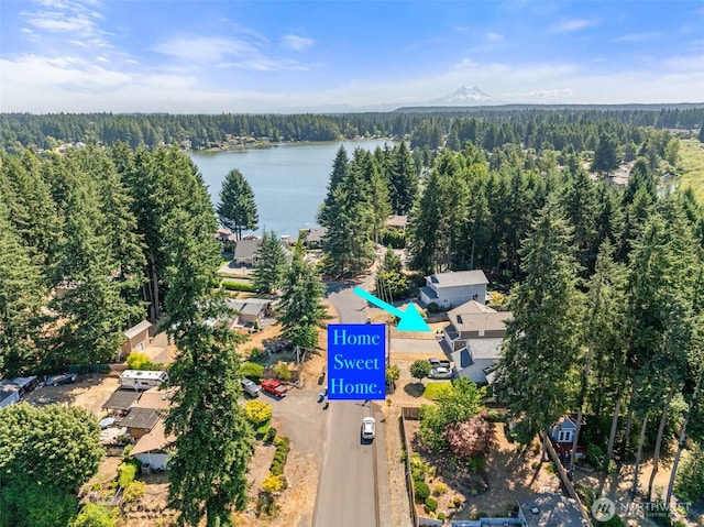 7729 41st Ave SE, Lacey, WA 98503 - photo 36