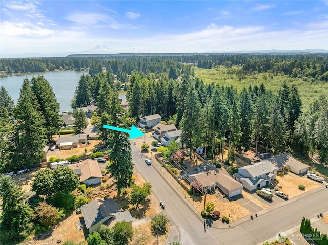 7729 41st Ave SE, Lacey, WA 98503 - photo 37