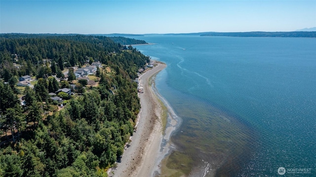 10 Edgewater Dr, Camano Island, WA 98282 - photo 5