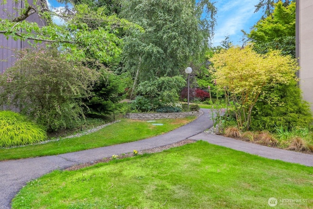 1541 NE 143rd St Unit H5, Seattle, WA 98125 - view of community with a lawn