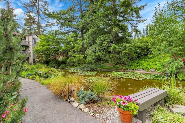1541 NE 143rd St Unit H5, Seattle, WA 98125 - view of property's community