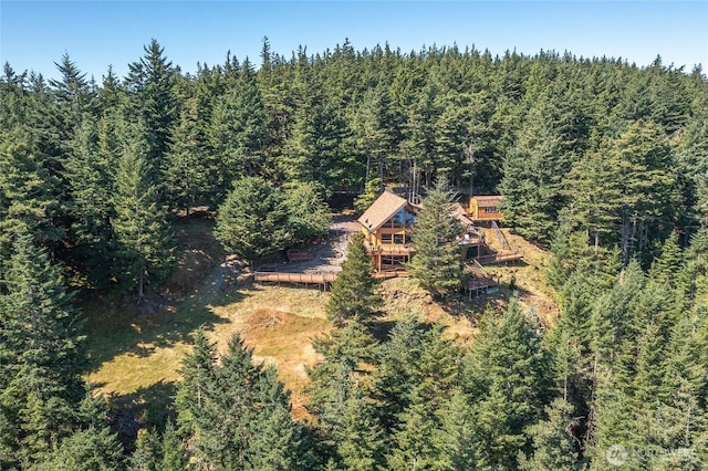 1669 Day Lake Rd, Orcas Island, WA 98245 - view from above of property with a heavily wooded area