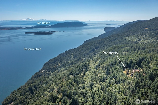 1669 Day Lake Rd, Orcas Island, WA 98245 - view of mountain background with a heavily wooded area and a large body of water
