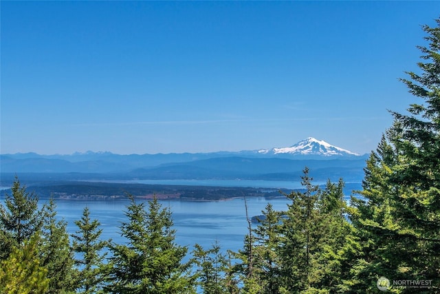 1669 Day Lake Rd, Orcas Island, WA 98245 - water view with a mountainous background