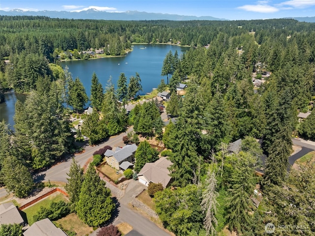 490 E Mountain View Dr, Allyn, WA 98524 - aerial overview of property's location featuring a heavily wooded area and a large body of water