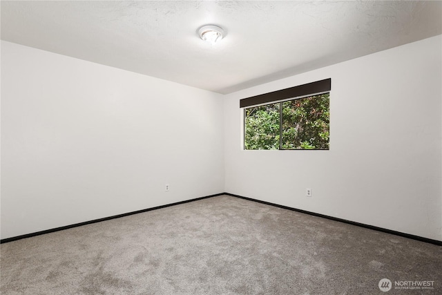 9326 Skokomish Way NE, Olympia, WA 98516 - photo 27