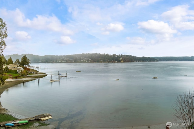 733 Fox Dr, Fox Island, WA 98333 - photo 5