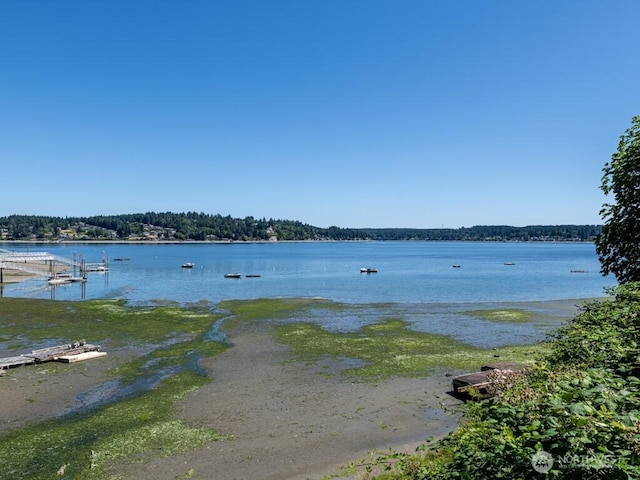 733 Fox Dr, Fox Island, WA 98333 - photo 1