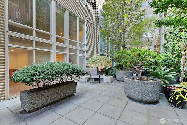 2324 1st Ave Unit 210, Seattle, WA 98121 - photo 3
